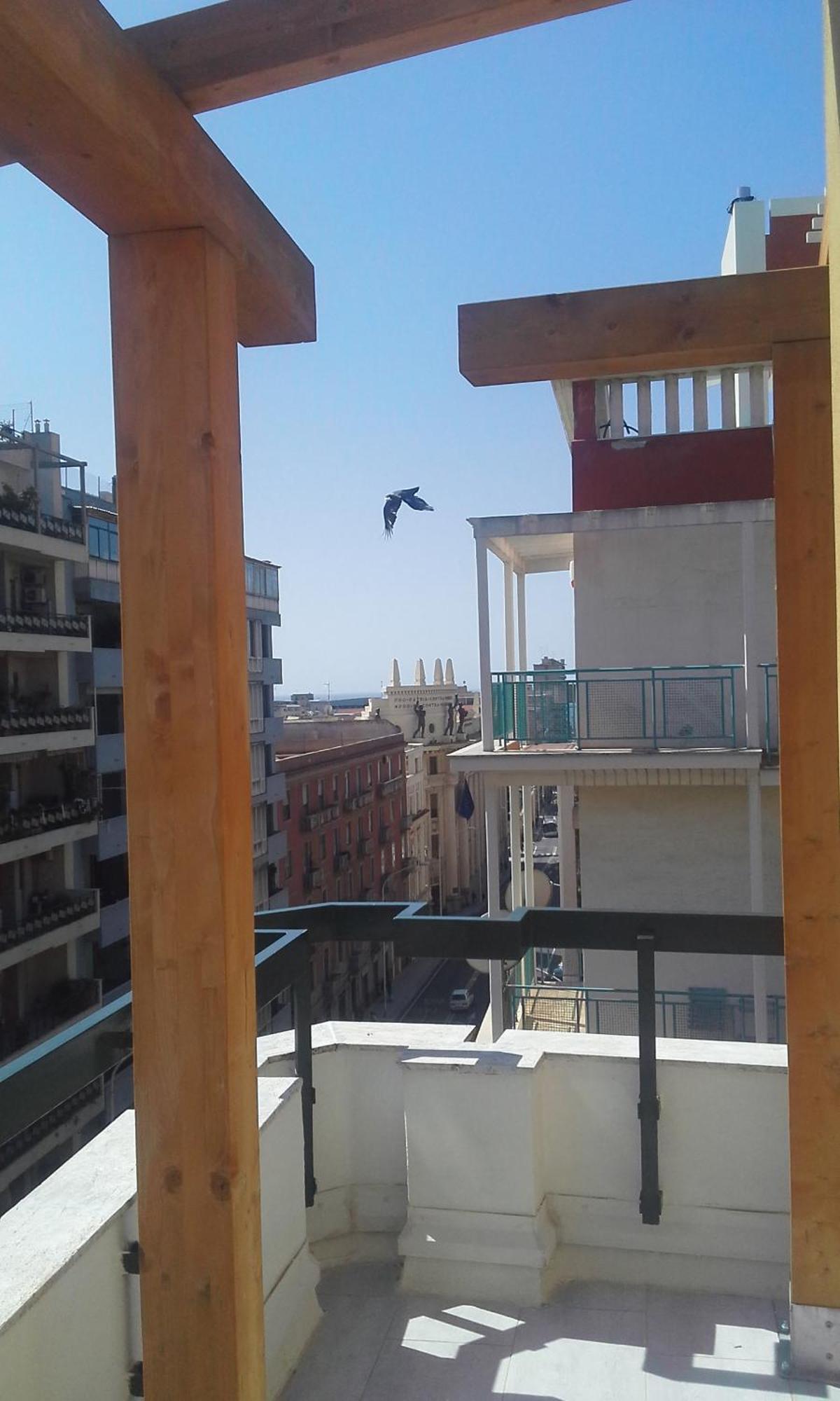 Monolocale Sonnino Villa Cagliari Exterior photo